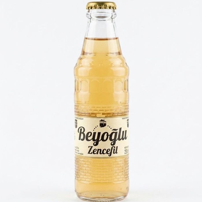 Beyoğlu Ginger Soda 250cc